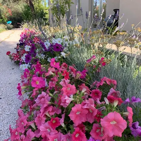 Bed and breakfast Natura & Relax 4*