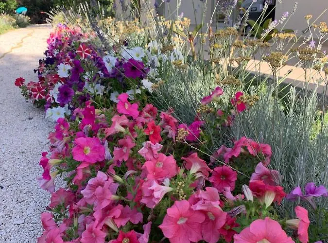 Oda ve Kahvaltı Natura & Relax 4*