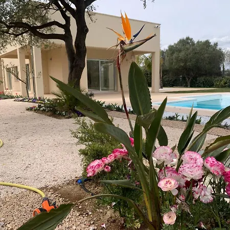 Natura & Relax Сесту