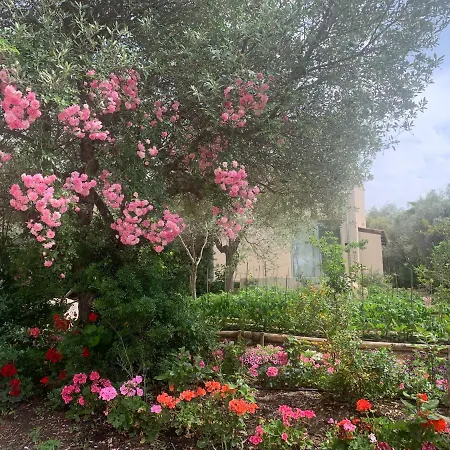 Natura & Relax Отель типа 